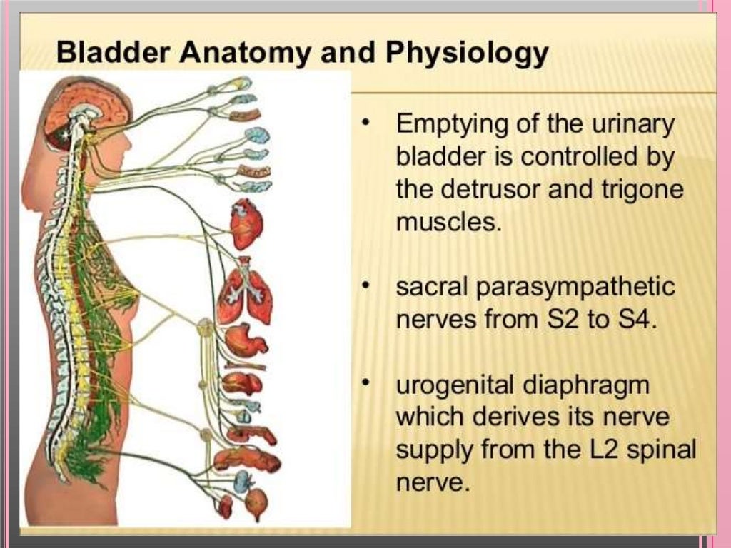 Neurogenic bladder
