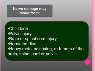 Nerve damage may
result from:
•Child birth
•Pelvic injury
•Brain or spinal cord injury
•Herniated disc
•Heavy metal poisoning, or tumors of the
brain, spinal cord or pelvis
 