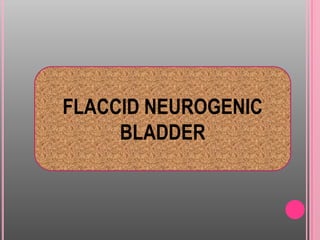 Neurogenic bladder 