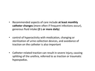 • Recommended aspects of care include at least monthly
catheter changes (more often if frequent infections occur),
generous fluid intake (2 L or more daily)
• control of hyperactivity with medication, changing or
sterilization of urine collection devices, and avoidance of
traction on the catheter is also important
• Catheter-related traction can result in severe injury, causing
splitting of the urethra, referred to as traction or traumatic
hypospadias.
 