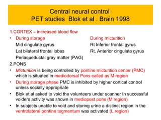 Central neural control
PET studies Blok et al . Brain 1998
1.CORTEX – increased blood flow
• During storage During micturition
Mid cingulate gyrus Rt Inferior frontal gyrus
Lat bilateral frontal lobes Rt. Anterior cingulate gyrus
Periaqueductal gray matter (PAG)
2.PONS
• Micturition is being controlled by pontine micturition center (PMC)
which is situated in mediodorsal Pons called as M region
• During storage phase PMC is inhibited by higher cortical control
unless socially appropriate
• Blok et al asked to void the volunteers under scanner In successful
voiders activity was shown in mediopost pons (M region)
• In subjects unable to void and storing urine a distinct region in the
ventrolateral pontine tegmentum was activated (L region)
 