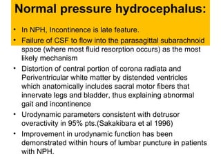 Normal pressure hydrocephalus:
• In NPH, Incontinence is late feature.
• Failure of CSF to flow into the parasagittal suba...