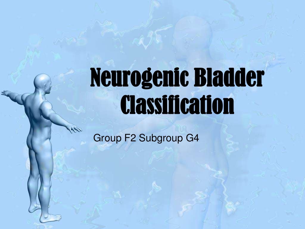 Neurogenic bladder classification
