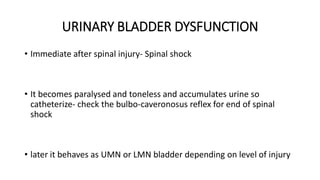 Comprehensive Management of Neurogenic Bladder in Spinal Cord Injury ...