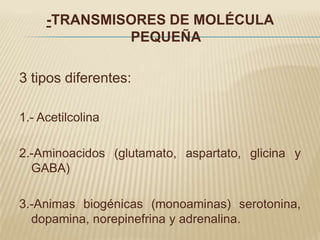 -TRANSMISORES DE MOLÉCULA
              PEQUEÑA

3 tipos diferentes:

1.- Acetilcolina

2.-Aminoacidos (glutamato, aspartato, glicina y
  GABA)

3.-Animas biogénicas (monoaminas) serotonina,
  dopamina, norepinefrina y adrenalina.
 