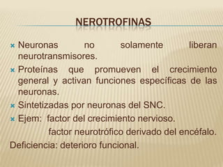 NEROTROFINAS

 Neuronas         no       solamente        liberan
  neurotransmisores.
 Proteínas    que promueven el crecimiento
  general y activan funciones específicas de las
  neuronas.
 Sintetizadas por neuronas del SNC.

 Ejem: factor del crecimiento nervioso.

          factor neurotrófico derivado del encéfalo.
Deficiencia: deterioro funcional.
 