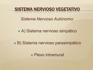 SISTEMA NERVIOSO VEGETATIVO

        Sistema Nervioso Autónomo:

       A) Sistema nervioso simpático

   B) Sistema nervioso parasimpático

               Plexo intramural
 
