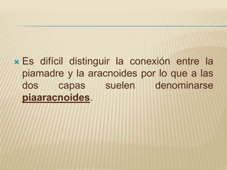    Es difícil distinguir la conexión entre la
    piamadre y la aracnoides por lo que a las
    dos     capas       suelen    denominarse
    piaaracnoides.
 