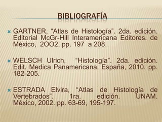 BIBLIOGRAFÍA
   GARTNER, “Atlas de Histología”. 2da. edición.
    Editorial McGr-Hill Interamericana Editores. de
    México, 2OO2. pp. 197 a 208.

   WELSCH Ulrich, “Histología”. 2da. edición.
    Edit. Medica Panamericana. España, 2010. pp.
    182-205.

   ESTRADA Elvira, “Atlas de Histología de
    Vertebrados”.     1ra.     edición. UNAM.
    México, 2002. pp. 63-69, 195-197.
 