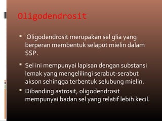 Oligodendrosit
 Oligodendrosit merupakan sel glia yang
berperan membentuk selaput mielin dalam
SSP.
 Sel ini mempunyai lapisan dengan substansi
lemak yang mengelilingi serabut-serabut
akson sehingga terbentuk selubung mielin.
 Dibanding astrosit, oligodendrosit
mempunyai badan sel yang relatif lebih kecil.
 