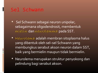 Sel Schwann
 Sel Schwann sebagai neuron unipolar,
sebagaimana oligodendrosit, membentuk
mielinmielin dan neurolemmaneurolemma pada SST.
 NeurolemaNeurolema adalah membran sitoplasma halus
yang dibentuk oleh sel–sel Schwann yang
membungkus serabut akson neuron dalam SST,
baik yang bermielin maupun tidak bermielin.
 Neurolema merupakan struktur penyokong dan
pelindung bagi serabut akson.
 