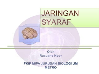 JARINGAN
SYARAF