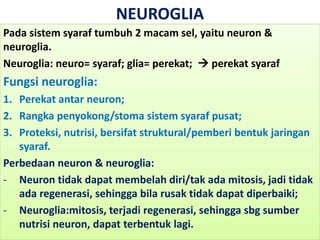 NEUROGLIA
Pada sistem syaraf tumbuh 2 macam sel, yaitu neuron &
neuroglia.
Neuroglia: neuro= syaraf; glia= perekat; perekat syaraf
Fungsi neuroglia:
1. Perekat antar neuron;
2. Rangka penyokong/stoma sistem syaraf pusat;
3. Proteksi, nutrisi, bersifat struktural/pemberi bentuk jaringan
syaraf.
Perbedaan neuron & neuroglia:
- Neuron tidak dapat membelah diri/tak ada mitosis, jadi tidak
ada regenerasi, sehingga bila rusak tidak dapat diperbaiki;
- Neuroglia:mitosis, terjadi regenerasi, sehingga sbg sumber
nutrisi neuron, dapat terbentuk lagi.