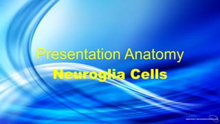 Presentation Anatomy
Neuroglia Cells
 