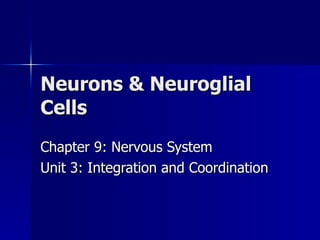 Neurons & Neuroglial Cells Chapter 9: Nervous System Unit 3: Integration and Coordination 