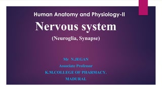 Human Anatomy and Physiology-II
Nervous system
(Neuroglia, Synapse)
Mr N.JEGAN
Associate Professor
K.M.COLLEGE OF PHARMACY.
MADURAI.
 