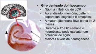 Neurogênese-Seminário de Embriologia.pptx