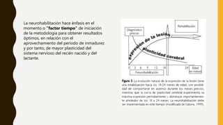 La neurohabilitación hace énfasis en el
momento o "factor tiempo" de iniciación
de la metodología para obtener resultados
óptimos, en relación con el
aprovechamiento del período de inmadurez
y por tanto, de mayor plasticidad del
sistema nervioso del recién nacido y del
lactante.
 