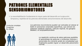 PATRONES ELEMENTALES
SENSORIOMOTORES
• La neurohabilitación fundamenta la mayor parte del desarrollo en la ejecución
temprana y repetida de los patrones elementales sensoriomotores del desarrollo.
Conductas complejas
Congénitas
No reflejas
Los patrones neuromotores pueden ser activados al colocar al
bebé en posiciones corporales específicas, que activan los
sistemas vestíbulo–espinal y retículo–espinal, los ganglios
básales y el arquipaleocerebelo
La repetición continua de estos patrones posibilita
el aprendizaje de posturas y conductas motoras y
sensoriales de creciente grado de complejidad que
finalmente pueden lograr un desarrollo psicomotriz
normal.
 
