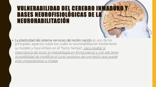 VULNERABILIDAD DEL CEREBRO INMADURO Y
BASES NEUROFISIOLÓGICAS DE LA
NEUROHABILITACIÓN
• La plasticidad del sistema nervioso del recién nacido es uno de los
principales aspectos sobre los cuales la neurohabilitación fundamenta
su modelo y hace énfasis en el "factor tiempo", para resaltar la
importancia de iniciar la metodología en forma precoz y con ello tener
la posibilidad de modificar el curso evolutivo de una lesión que puede
estar empezándose a instalar.
 