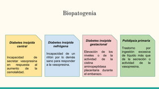Biopatogenia
Diabetes insípida
central
Incapacidad de
secretar vasopresina
en respuesta al
aumento de la
osmolalidad.
Diabetes insípida
nefrógena
Incapacidad de un
riñón por lo demás
sano para responder
a la vasopresina.
Diabetes insípida
gestacional
Elevación de los
niveles o de la
actividad de la
cistina
aminopeptidasa
placentaria durante
el embarazo.
Polidipsia primaria
Trastorno por
ingestión excesiva
de líquido más que
de la secreción o
actividad de la
vasopresina.
 