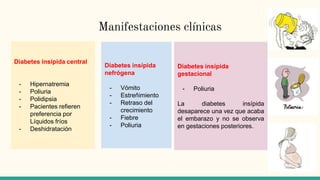 Manifestaciones clínicas
Diabetes insípida central
- Hipernatremia
- Poliuria
- Polidipsia
- Pacientes refieren
preferencia por
Líquidos fríos
- Deshidratación
Diabetes insípida
nefrógena
- Vómito
- Estreñimiento
- Retraso del
crecimiento
- Fiebre
- Poliuria
Diabetes insípida
gestacional
- Poliuria
La diabetes insípida
desaparece una vez que acaba
el embarazo y no se observa
en gestaciones posteriores.
 