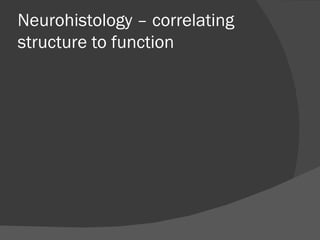 Neurohistology – correlating structure to function 