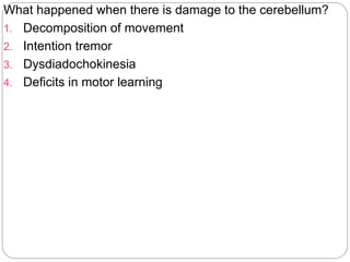 What happened when there is damage to the cerebellum?
1. Decomposition of movement
2. Intention tremor
3. Dysdiadochokinesia
4. Deficits in motor learning
 