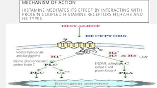 Neurohumoral Transmission in central nervous system | PPTX