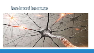 Neuro humoral transmission
 