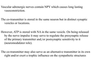 Vascular adrenergic nerves contain NPY which causes long lasting
vasoconstriction.
The co-transmitter is stored in the same neuron but in distinct synaptic
vesicles or locations.
However, ATP is stored with NA in the same vesicle. On being released
by the nerve impulse it may serve to regulate the presynaptic release
of the primary transmitter and,/or postsynaptic sensitivity to it
(neuromodulator role).
The co-transmitter may also serve as an alternative transmitter in its own
right and/or exert a trophic influence on the sympathetic structures
 
