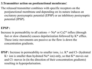 3.Transmitter action on postiunctional membrane:
The released transmitter combines with specific receptors on the
postjunctional membrane and depending on its nature induces an
excitatory postsynaptic potential (EPSP) or an inhibitory postsynaptic
potential (IPSP).
EPSP :
Increase in permeability to all cations -> Na* or Ca2* influx (through
fast or slow channels) causes depolarization followed by K* efflux.
These ionic movements are passive as the flow is down the
concentration gradients.
IPSP : Increase in permeability to smaller ions, i.e. K* and Cl- (hydrated
K+ ion is smaller than hydrated Na* ion) only, so that K* moves out
and Cl- moves in (in the direction of their concentration gradients)
resulting in hyperpolarisation.
 