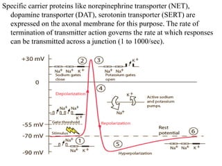 Specific carrier proteins like norepinephrine transporter (NET),
dopamine transporter (DAT), serotonin transporter (SERT) are
expressed on the axonal membrane for this purpose. The rate of
termination of transmitter action governs the rate at which responses
can be transmitted across a junction (1 to 1000/sec).
 