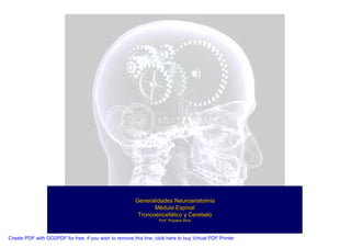 Neuroanatomia I | PDF