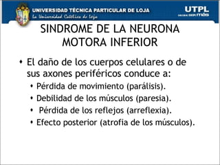 SINDROME DE LA NEURONA MOTORA INFERIOR El daño de los cuerpos celulares o de sus axones periféricos conduce a: Pérdida de movimiento (parálisis). Debilidad de los músculos (paresia). Pérdida de los reflejos (arreflexia). Efecto posterior (atrofia de los músculos). 