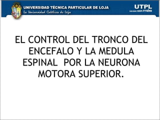 EL CONTROL DEL TRONCO DEL ENCEFALO Y LA MEDULA ESPINAL  POR LA NEURONA MOTORA SUPERIOR. 