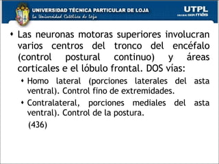 Las neuronas motoras superiores involucran varios centros del tronco del encéfalo (control postural continuo) y áreas corticales e el lóbulo frontal. DOS vías: Homo lateral (porciones laterales del asta ventral). Control fino de extremidades. Contralateral, porciones mediales del asta ventral). Control de la postura. (436) 