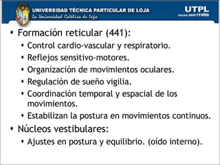 Formación reticular (441):  Control cardio-vascular y respiratorio. Reflejos sensitivo-motores. Organización de movimientos oculares. Regulación de sueño vigilia.  Coordinación temporal y espacial de los movimientos.  Estabilizan la postura en movimientos continuos. Núcleos vestibulares:  Ajustes en postura y equilibrio. (oído interno). 