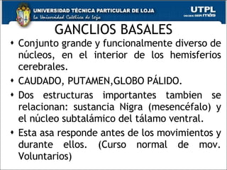 GANCLIOS BASALES Conjunto grande y funcionalmente diverso de núcleos, en el interior de los hemisferios cerebrales. CAUDADO, PUTAMEN,GLOBO PÁLIDO. Dos estructuras importantes tambien se relacionan: sustancia Nigra (mesencéfalo) y el núcleo subtalámico del tálamo ventral. Esta asa responde antes de los movimientos y durante ellos. (Curso normal de mov. Voluntarios) 