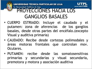 PROYECCIONES HACIA LOS GANGLIOS BASALES CUERPO ESTRIADO: Incluye el caudado y el putamen: zona de aferencias  de los ganglios basales, desde otras partes del encéfalo.(excepto Visual y auditiva primaria) CAUDADO: Recibe desde cortezas polimodales y áreas motoras frontales que controlan mov. Oculares. PUTAMEN: recibe desde las somatosensitivas primarias y secundarias y visual secundaria, premotora y motora y asociación auditiva 