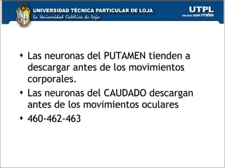 Las neuronas del PUTAMEN tienden a descargar antes de los movimientos corporales. Las neuronas del CAUDADO descargan antes de los movimientos oculares 460-462-463 