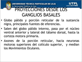 PROYECCIONES DESDE LOS GANGLIOS BASALES Globo pálido y porción reticular de la sustancia nigra, principales fuentes de eferencias. Salen del globo pálido interno, pasa por el núcleo ventral anterior y lateral del tálamo dorsal, hasta la corteza motora primaria.  Axones de la porción reticular, hacia neuronas motoras superiores del colículo superior,  y median los Movimientos Oculares. 