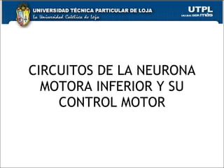 CIRCUITOS DE LA NEURONA MOTORA INFERIOR Y SU CONTROL MOTOR 