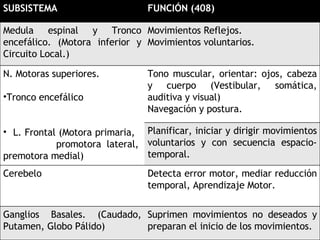 SUBSISTEMA FUNCIÓN (408) Medula espinal y Tronco encefálico. (Motora inferior y Circuito Local.) Movimientos Reflejos. Movimientos voluntarios. N. Motoras superiores.  Tronco encefálico L. Frontal (Motora primaria,  promotora lateral, premotora medial) Tono muscular, orientar: ojos, cabeza y cuerpo (Vestibular, somática, auditiva y visual) Navegación y postura. Planificar, iniciar y dirigir movimientos voluntarios y con secuencia espacio-temporal. Cerebelo Detecta error motor, mediar reducción temporal, Aprendizaje Motor. Ganglios Basales. (Caudado, Putamen, Globo Pálido) Suprimen movimientos no deseados y preparan el inicio de los movimientos.  
