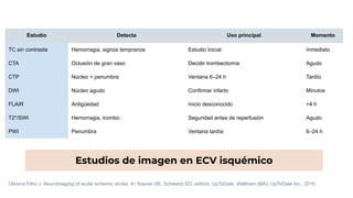 Neuroimaging Techniques and Interpretation in Acute Ischemic Stroke ...