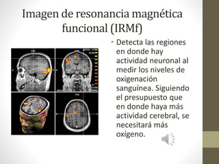 Imagen de resonancia magnética
funcional (IRMf)
• Detecta las regiones
en donde hay
actividad neuronal al
medir los niveles de
oxigenación
sanguínea. Siguiendo
el presupuesto que
en donde haya más
actividad cerebral, se
necesitará más
oxígeno.
 