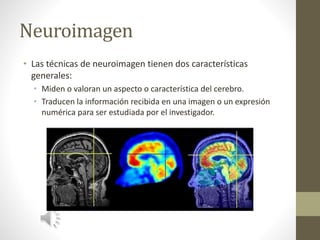 Neuroimagen
• Las técnicas de neuroimagen tienen dos características
generales:
• Miden o valoran un aspecto o característica del cerebro.
• Traducen la información recibida en una imagen o un expresión
numérica para ser estudiada por el investigador.
 