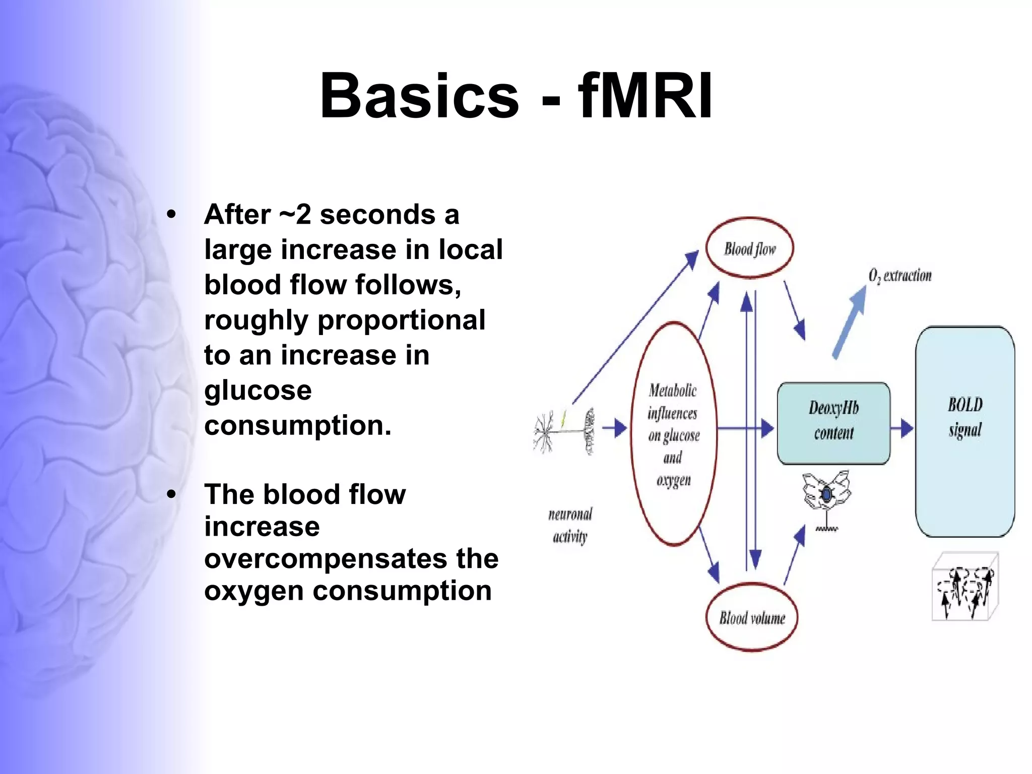 Basics - fMRI After ~2 seconds a large increase in local blood flow follows, roughly proportional to an increase in glucose consumption. The blood flow increase overcompensates the oxygen consumption 