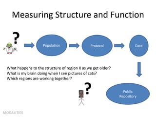 Measuring Structure and Function
? Population Protocol Data
What happens to the structure of region X as we get older?
What is my brain doing when I see pictures of cats?
Which regions are working together?
? Public
Repository
MODALITIES
 