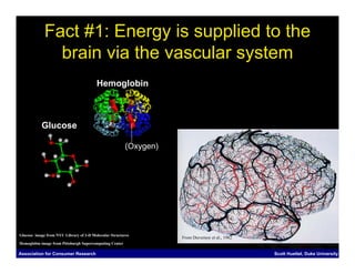 Fact #1: Energy is supplied to the
               brain via the vascular system
                                        Hemoglobin



           Glucose

                                                         (Oxygen)




Glucose image from NYU Library of 3-D Molecular Structures
                                                                    From Duvernoy et al., 1982
Hemoglobin image from Pittsburgh Supercomputing Center

Association for Consumer Research                                                                Scott Huettel, Duke University
 